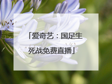 爱奇艺：国足生死战免费直播